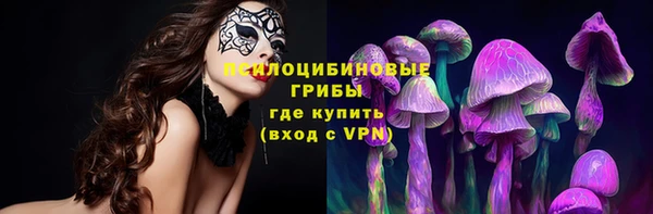 мяу мяу мука Медногорск
