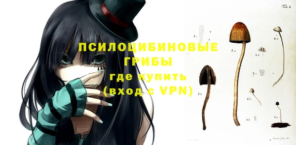 2c-b Мегион