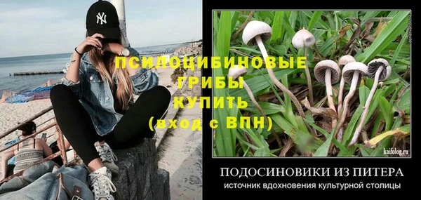 гашик Медвежьегорск