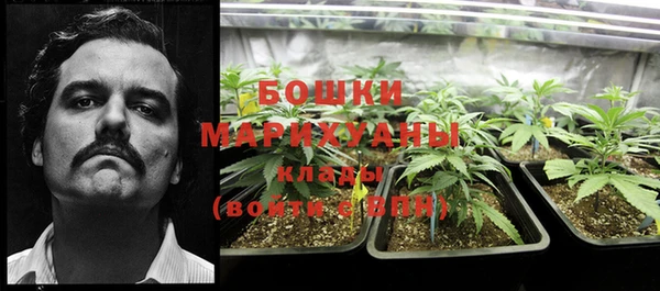 2c-b Мегион