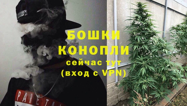 гашик Медвежьегорск