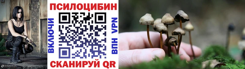 Псилоцибиновые грибы MAGIC MUSHROOMS  кракен как войти  Нижние Серги 